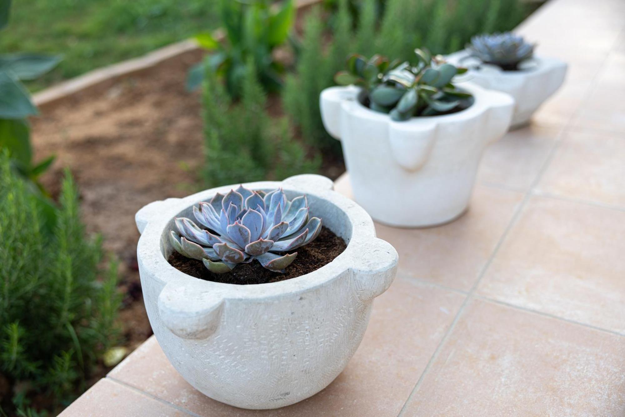 Villa Ruby Pessada Pesádha المظهر الخارجي الصورة